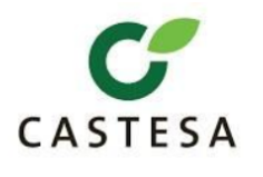 Castesa